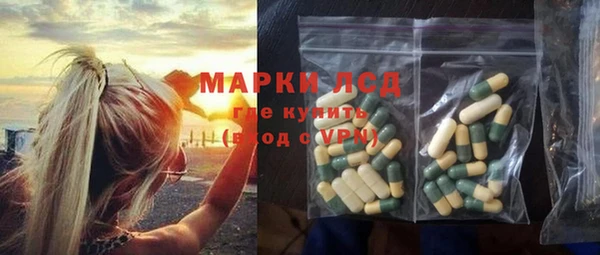 гидра Каменка