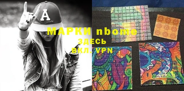 гидра Каменка