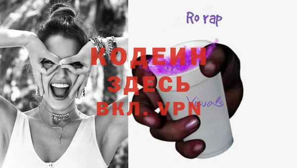 гидра Каменка