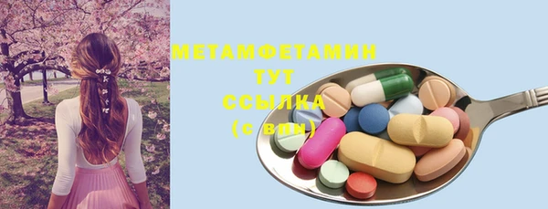 гидра Каменка