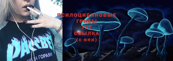 спиды Каменск-Шахтинский