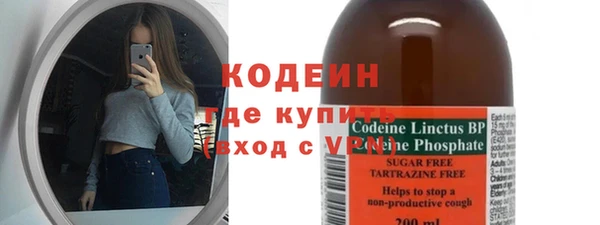 гидра Каменка