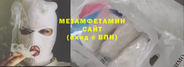 гидра Каменка