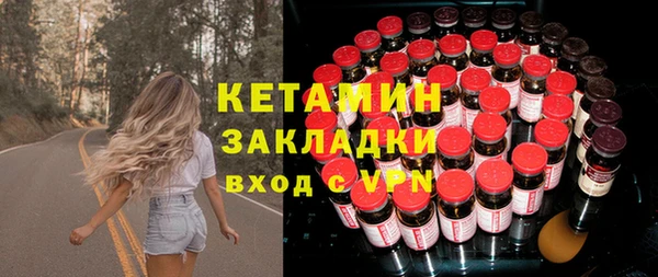 гидра Каменка