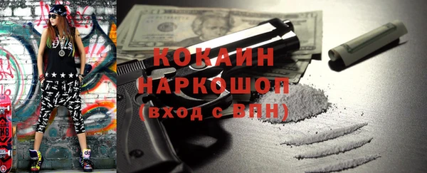 гидра Каменка