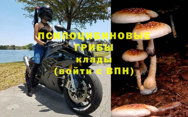 гидра Каменка
