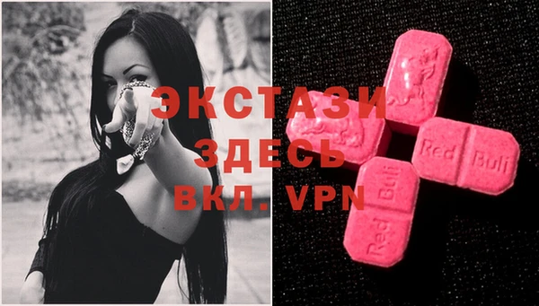гидра Каменка
