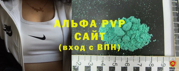 гидра Каменка
