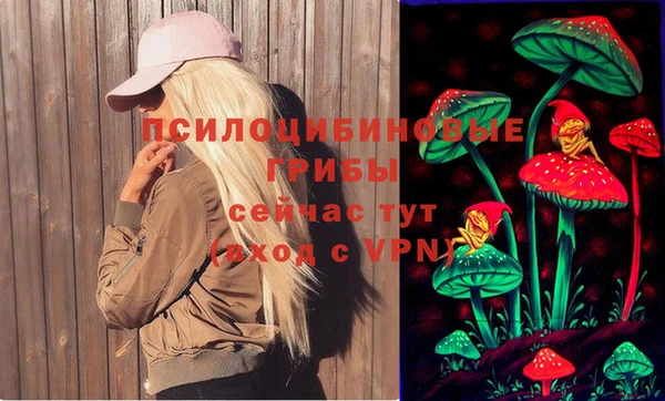 гидра Каменка
