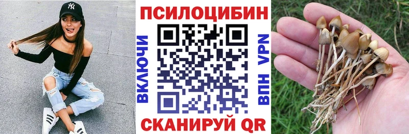 Псилоцибиновые грибы GOLDEN TEACHER  Купить  Киселёвск 