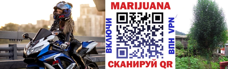 Купить где  Киселёвск  Бошки марихуана SATIVA & INDICA 